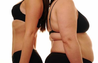 fatlogic