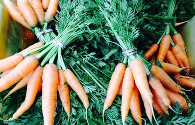 the food project