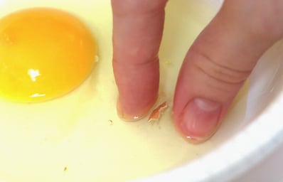 FeaturedImage EggShell 2