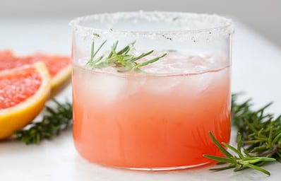 italian greyhound with rosemary sugar