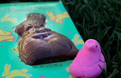 bunnypeep 2