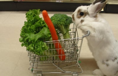Bunny with carrots
