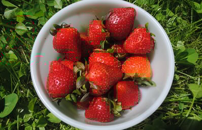 strawberry