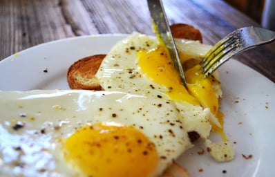 egg