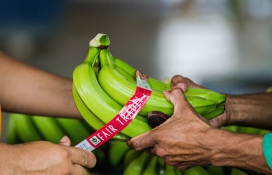 Banana Photo copy