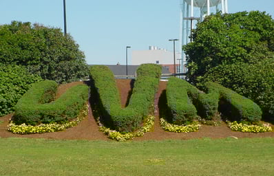 uvm.edu