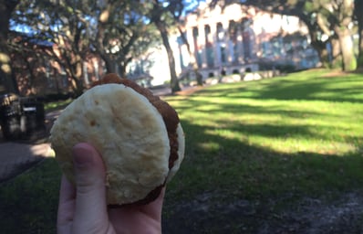 Biscuit cistern