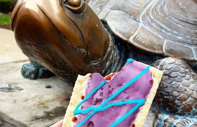 PopTarts UMD