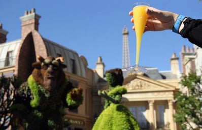 Mimosa