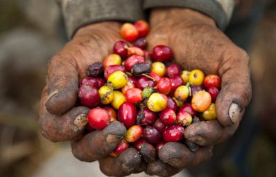 o FAIR TRADE COFFEE facebook e1459295029124