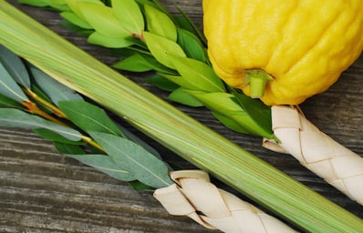 lulav and etrog sukkot