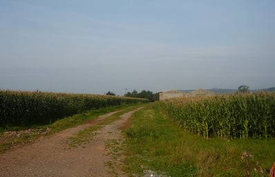 2870649065 d2aede3b65 b