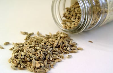 Fennel