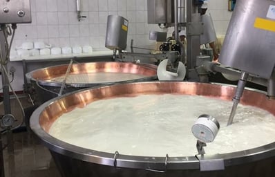 Italiancheese e1462234131394