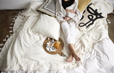 cozy bed