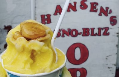 hansens sno bliz
