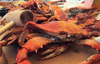 Crab 1