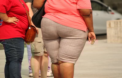 thick 373064 1920