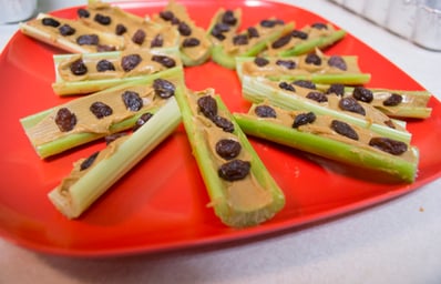 ants on a log