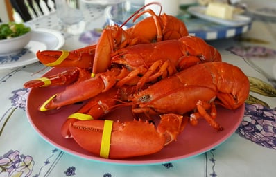 steamedlobstah