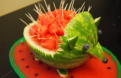 stuffparentsneed dot com hedgehog