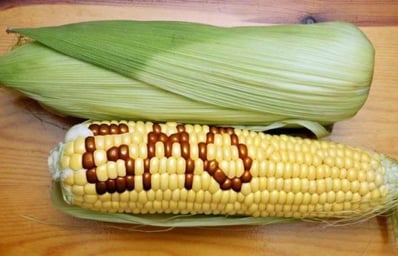 Susanne.Posel Headline.News .Official label.it .gmo .senate.block .vermont.monsanto occupycorporatism