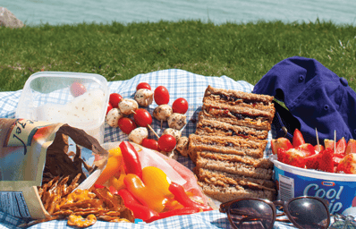 3 picnic1