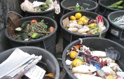 food trash