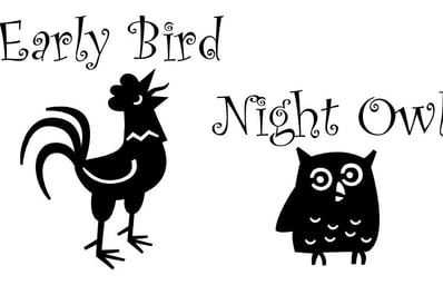 early bird night owl