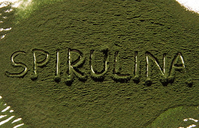 spirulina feature