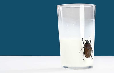 cockroach milk feature