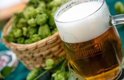 beer mug