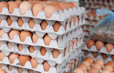 do we really need to refrigerate our eggs video