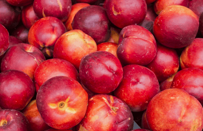 nectarines