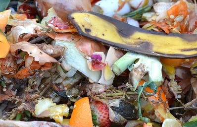compost 4