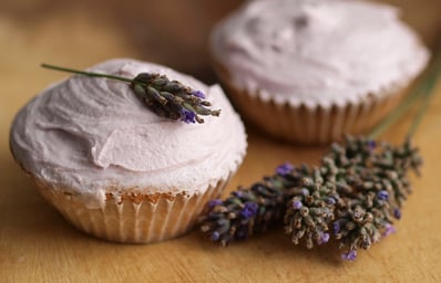 lavender recipes feature image