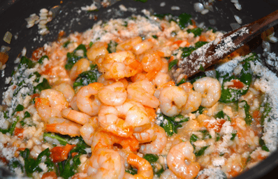 shrimp risotto