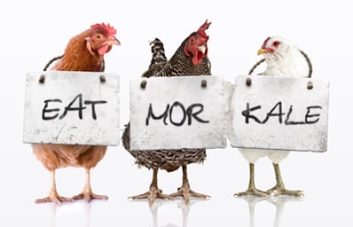 eat more kale