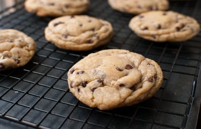 chocolate chip cookie