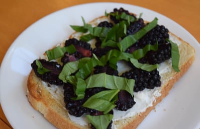 toast featured photo