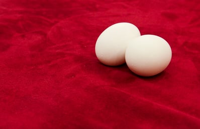 Eggs 2