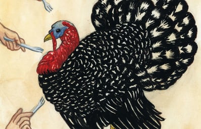 Article 7 Illustration scaled