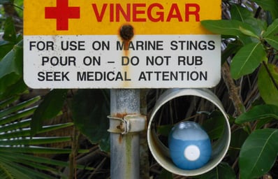 vinegar
