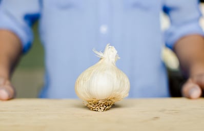 garlic1