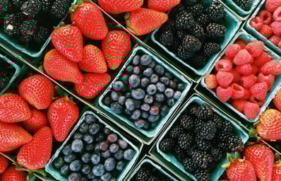 fruit pic by heather feibleman