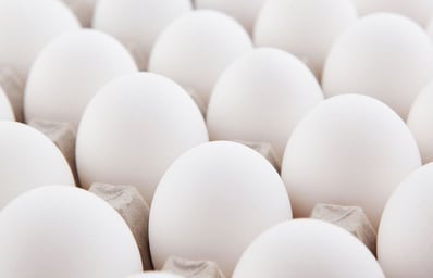 white eggs japan.0.0