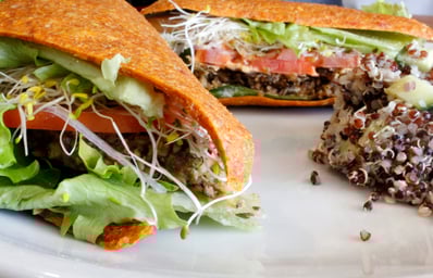 upclose sandwich
