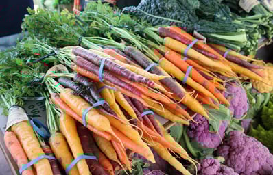 FM carrots 8