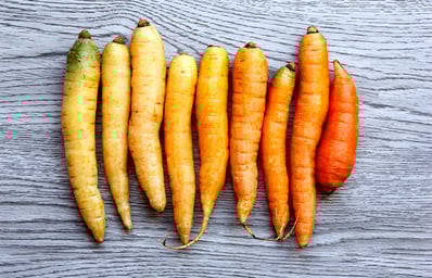 Carrots 3 Christin Urso