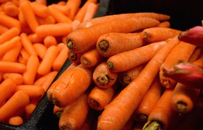 Carrot Variety Linzie Gienau